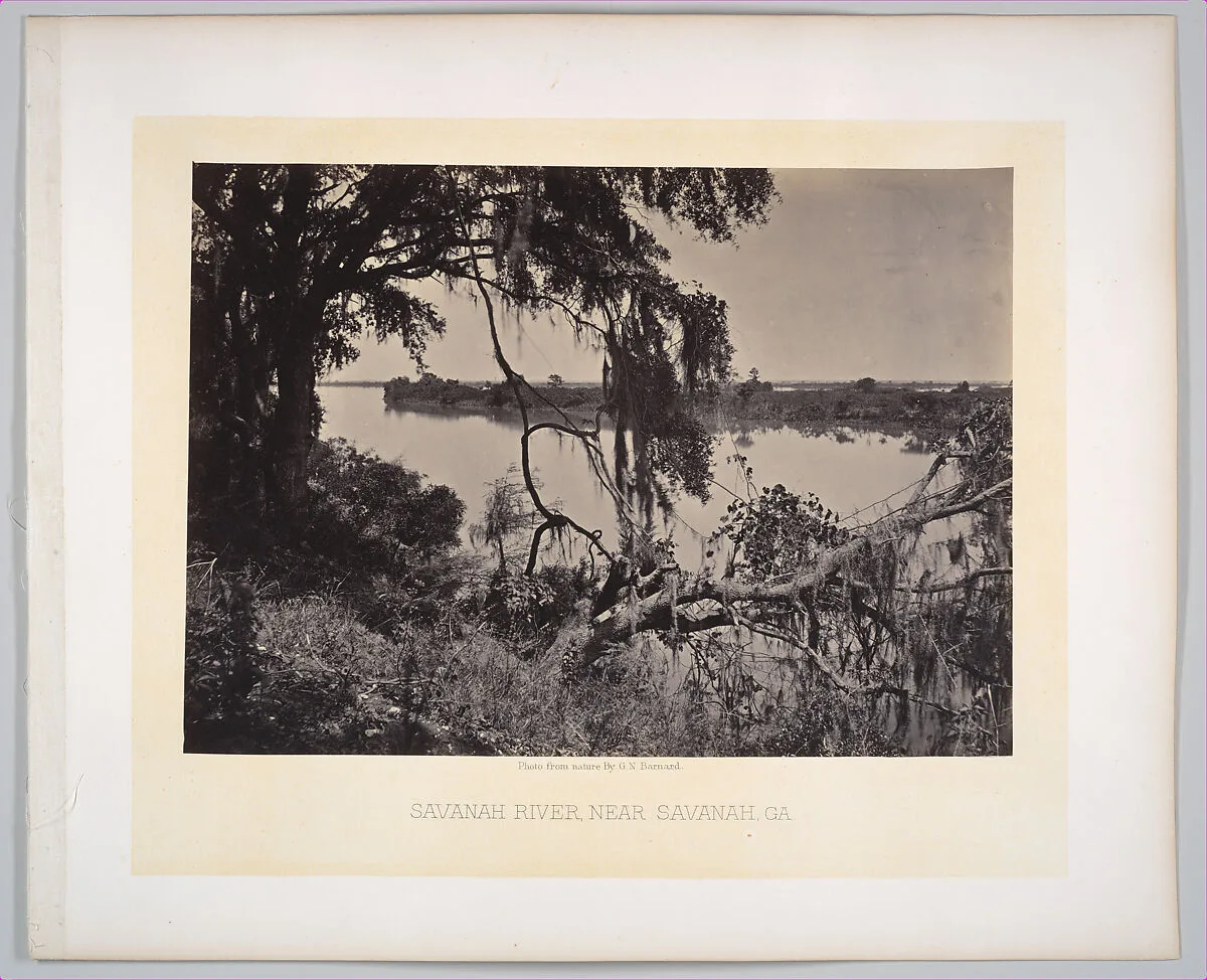 Savannah River, near Savannah, Georgia — George N. Barnard