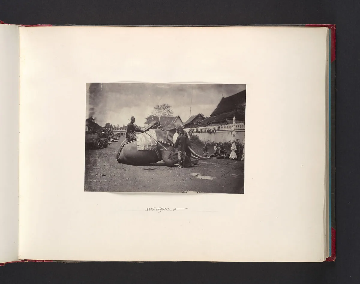 Wat Elephant — John Thomson