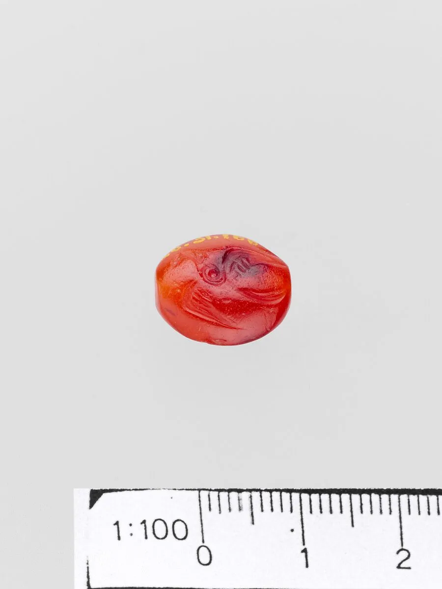 Carnelian amygdaloid seal — Unknown