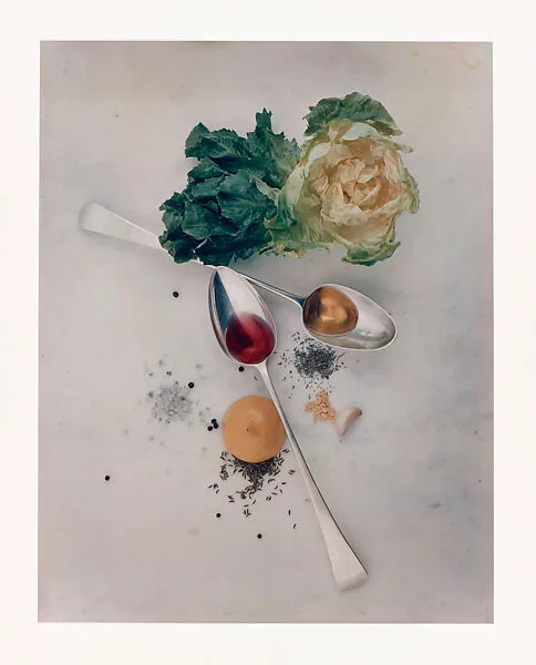 Salad Ingredients, New York — Irving Penn