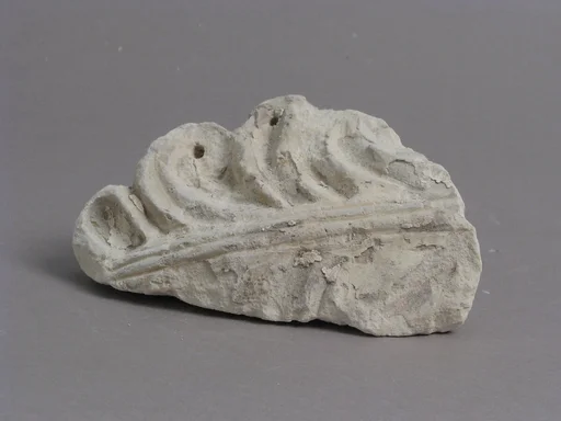 Acanthus Leaf Fragment