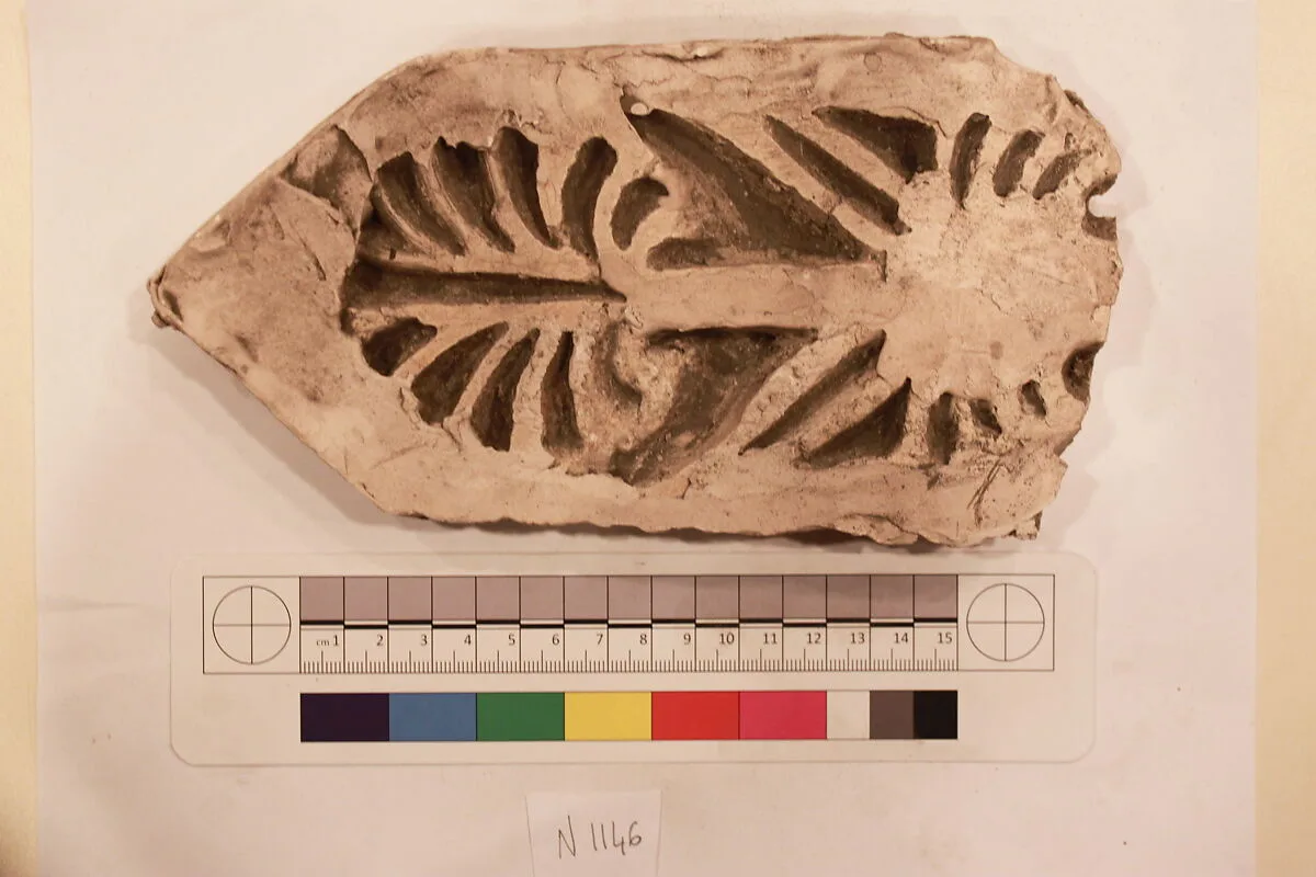 Stucco Fragment — Unknown