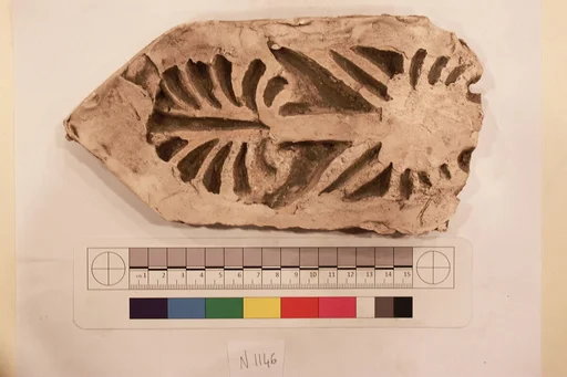 Stucco Fragment