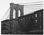[View of Brooklyn Bridge Behind Tenement Houses]