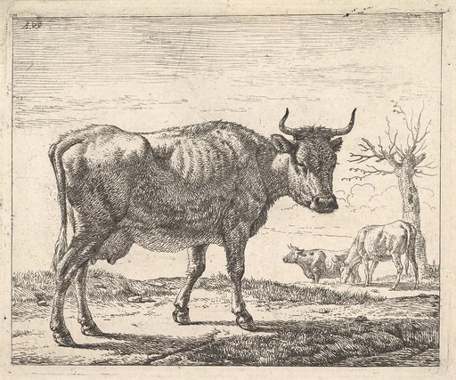 Three Cows