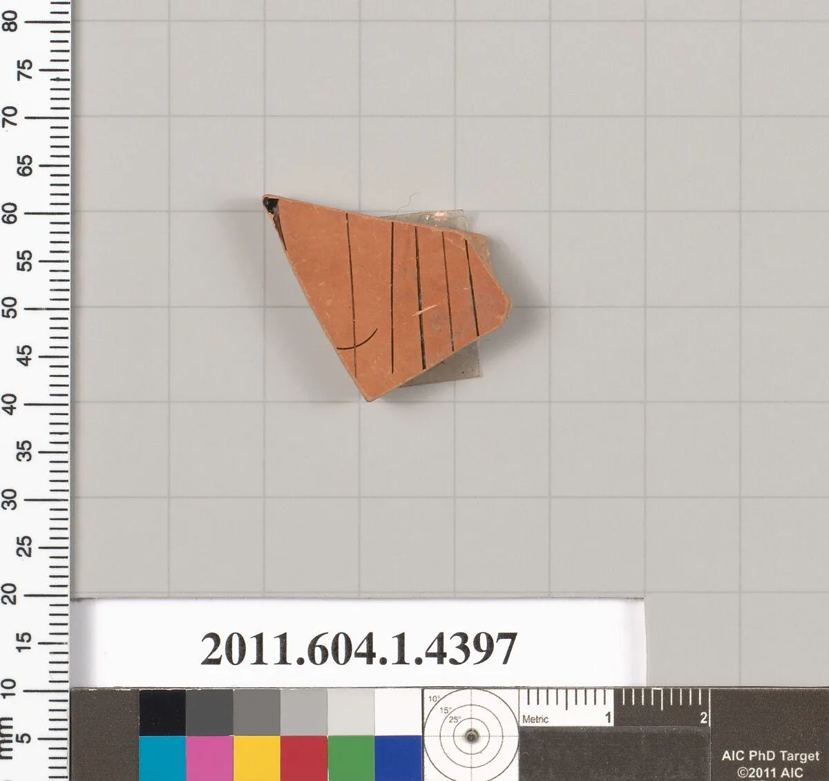 Terracotta fragment of a kylix (drinking cup) — Unknown