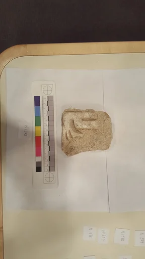 Stucco Fragment