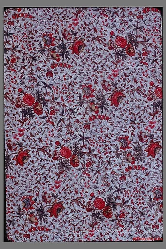 Coverlet