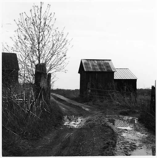 [Landscape with Barn and Dirt Path]