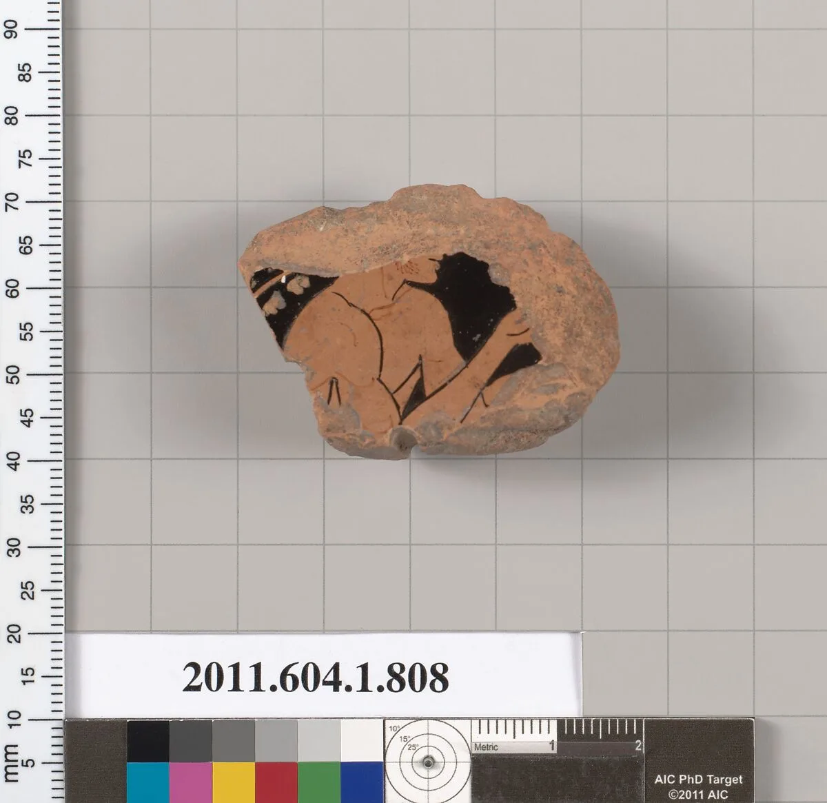 Terracotta fragment of a kylix (drinking cup) — Unknown