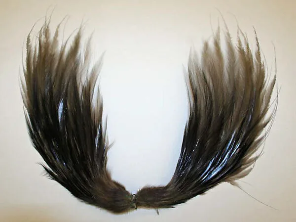 Aigrette — Unknown