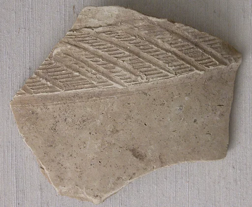 Fragment