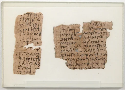 Papyri Fragments of a List of Bird Names