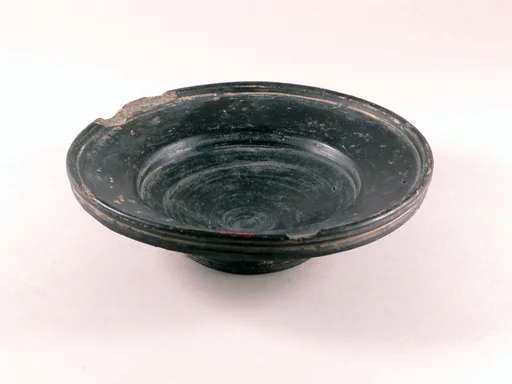 Dish