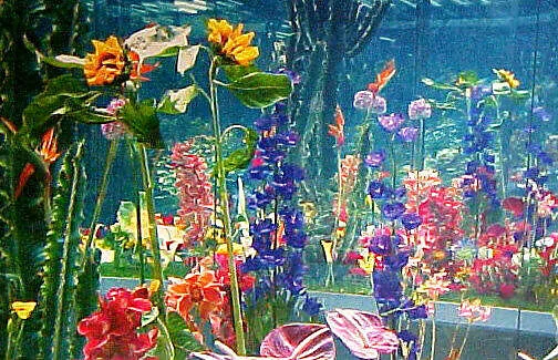 Garden 2
