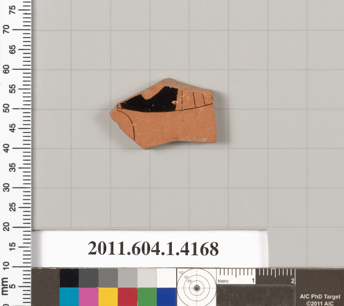 Terracotta fragment of a kylix (drinking cup) — Unknown