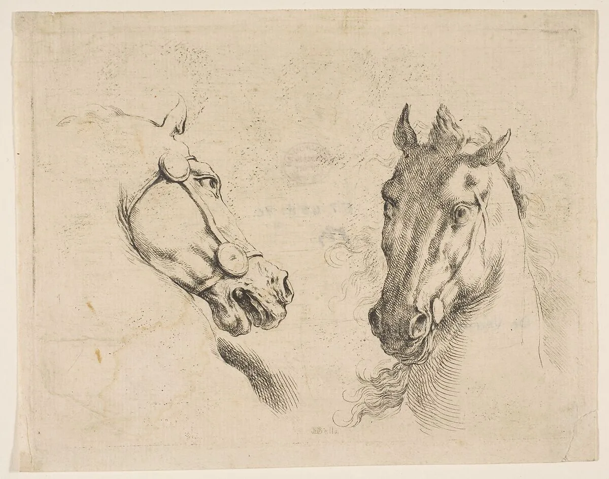 Two Horse Heads — Stefano della Bella