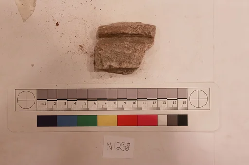 Stucco Fragment