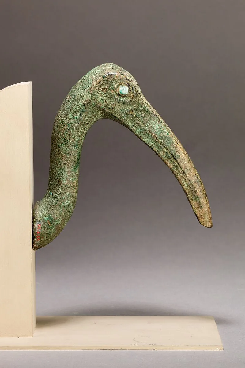 Ibis head — Unknown