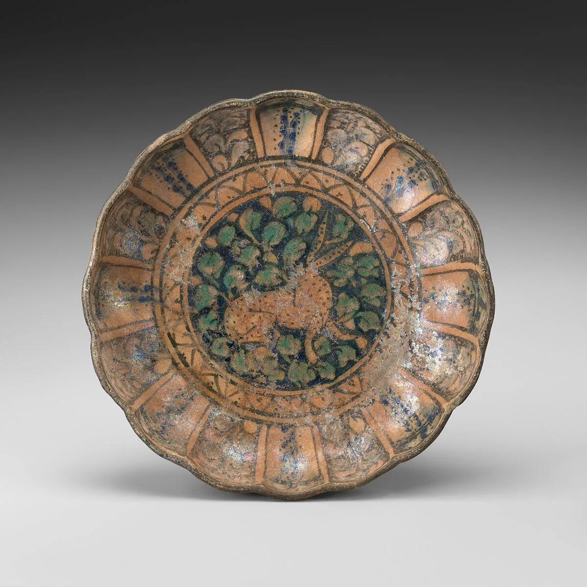 Dish — Unknown
