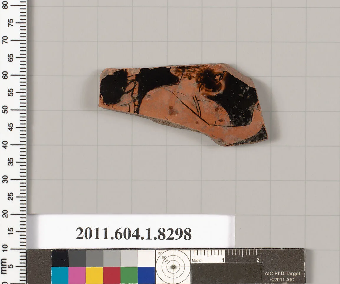 Terracotta fragment of a kylix (drinking cup) — Unknown