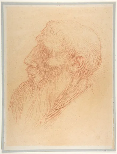 Head of a Man