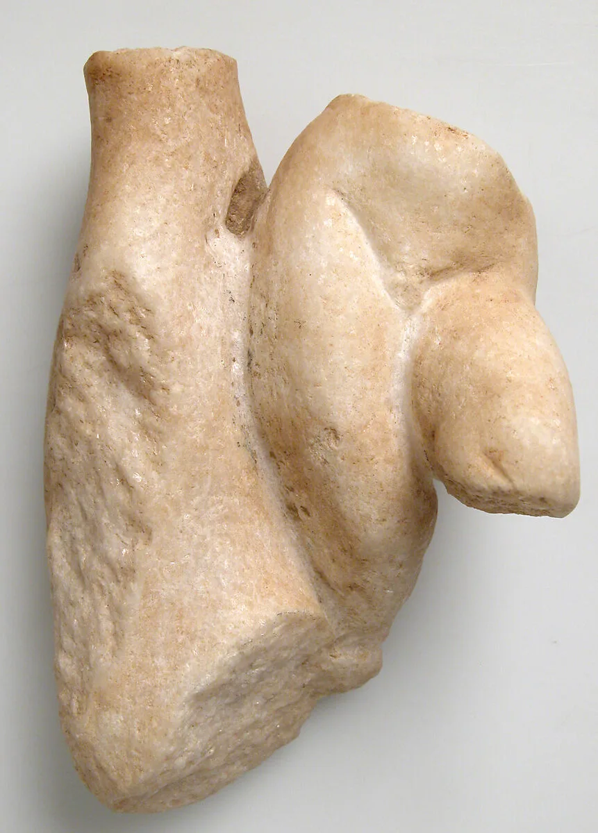 Fragment of a Male Torso with a Tree Trunk — Unknown