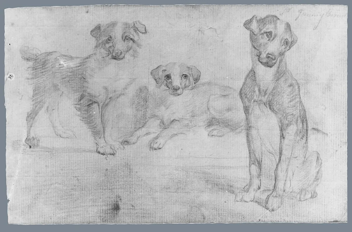 Dogs (from McGuire Scrapbook) — Unknown