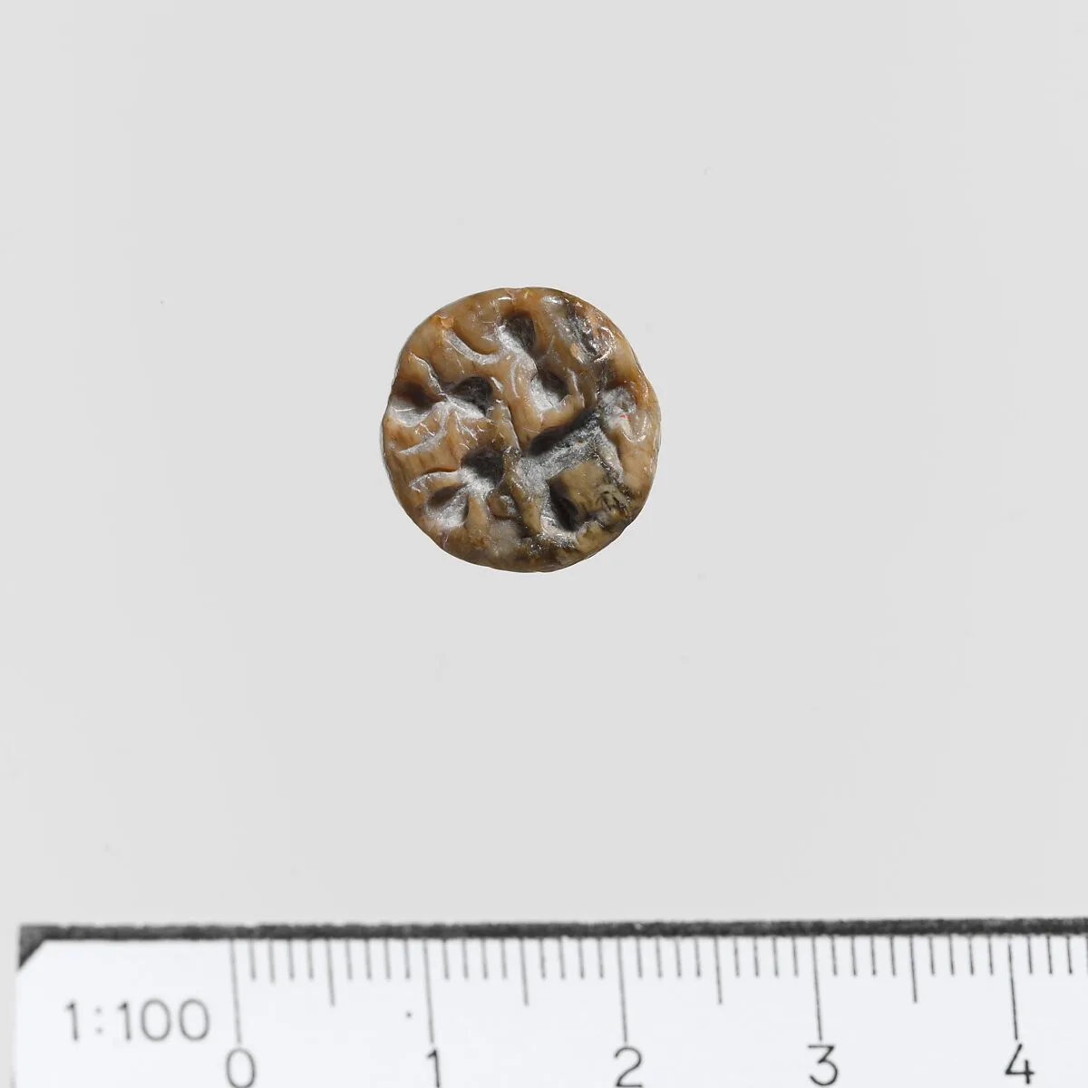 Seal — Unknown