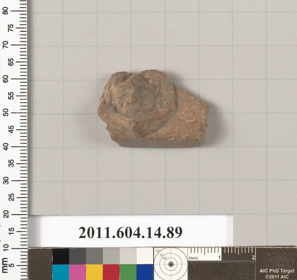 Terracotta fragment of a vase? — Unknown