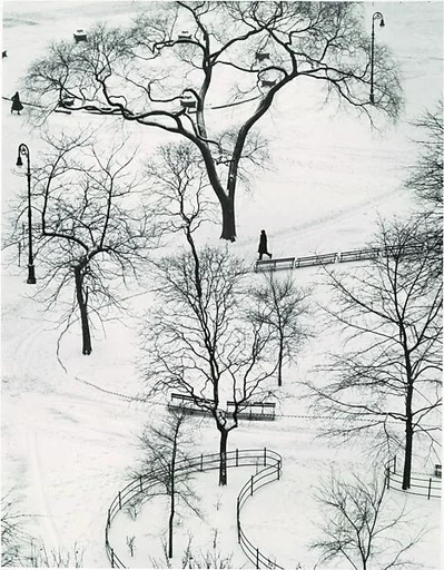 Washington Square, Winter