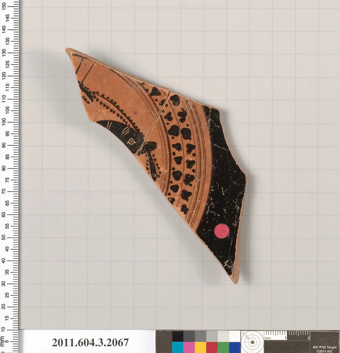 Terracotta fragment of a kylix (drinking cup) — Unknown