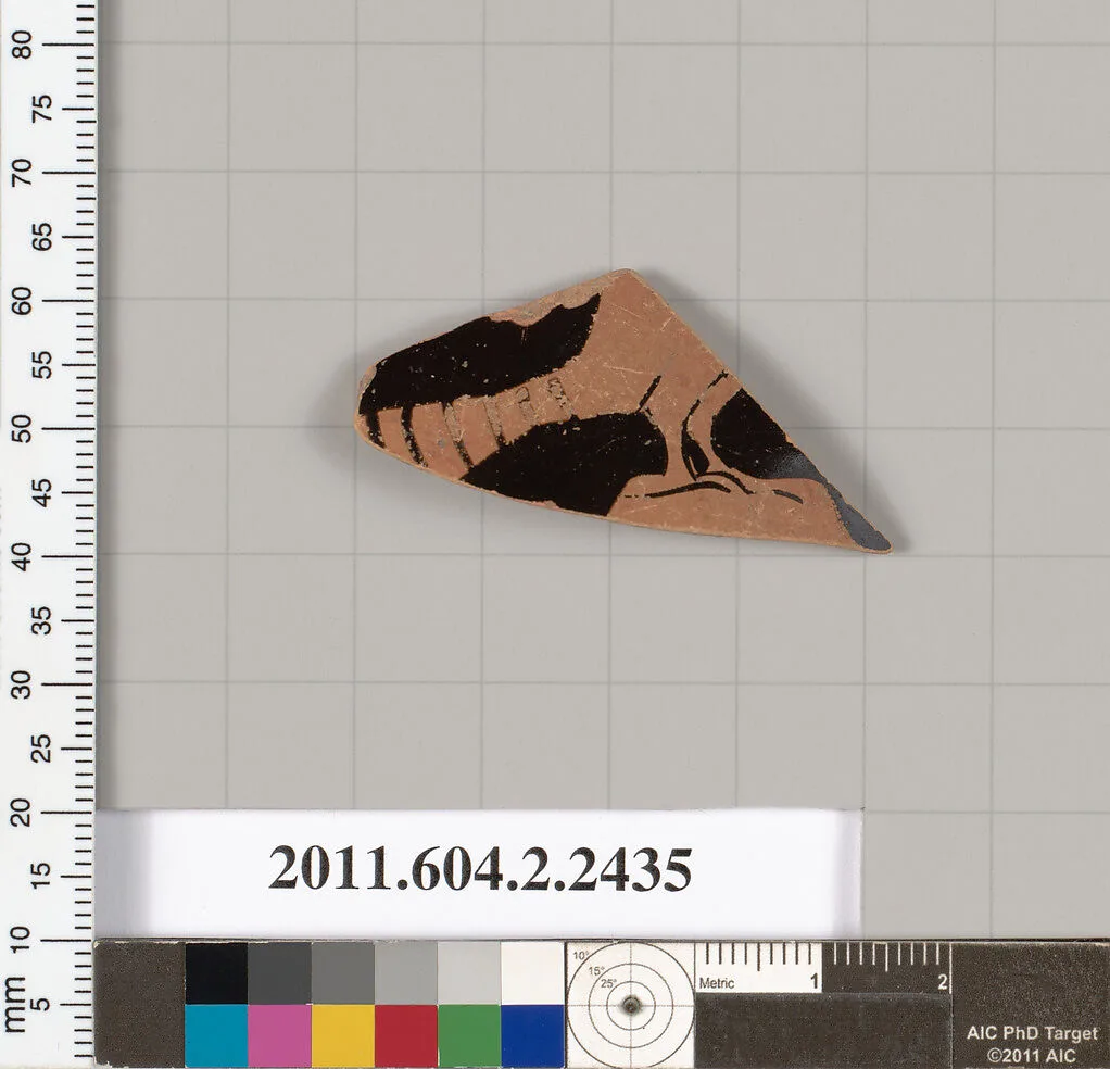 Terracotta fragment of a skyphos (deep drinking cup)? — Unknown