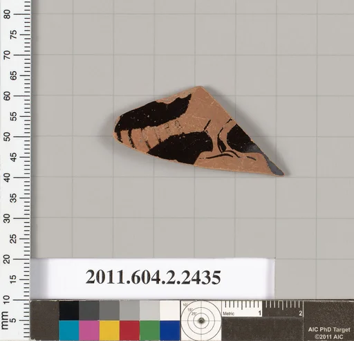 Terracotta fragment of a skyphos (deep drinking cup)?