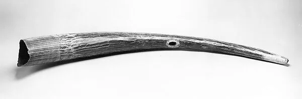 Horn — Unknown
