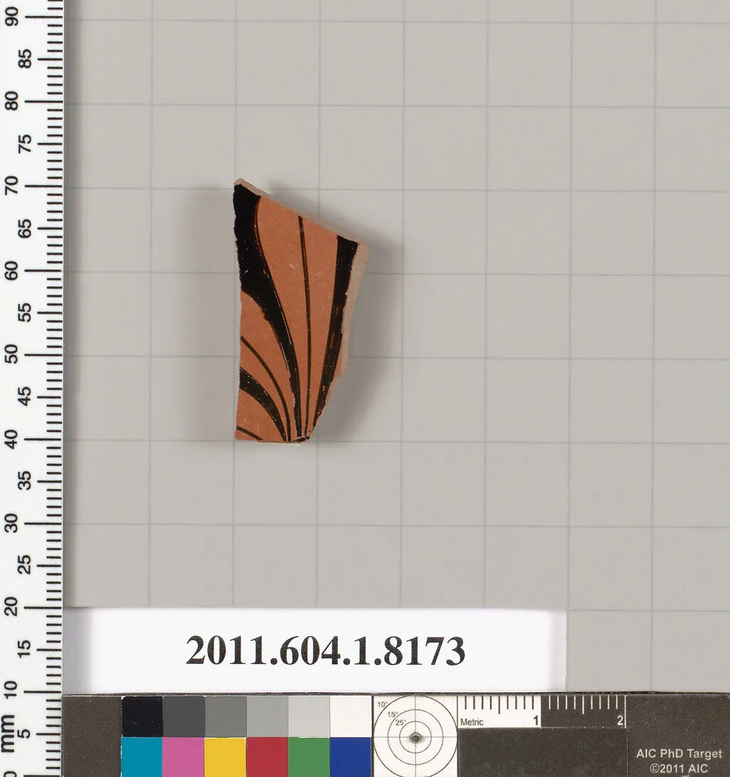 Terracotta fragment of a kylix (drinking cup) — Unknown