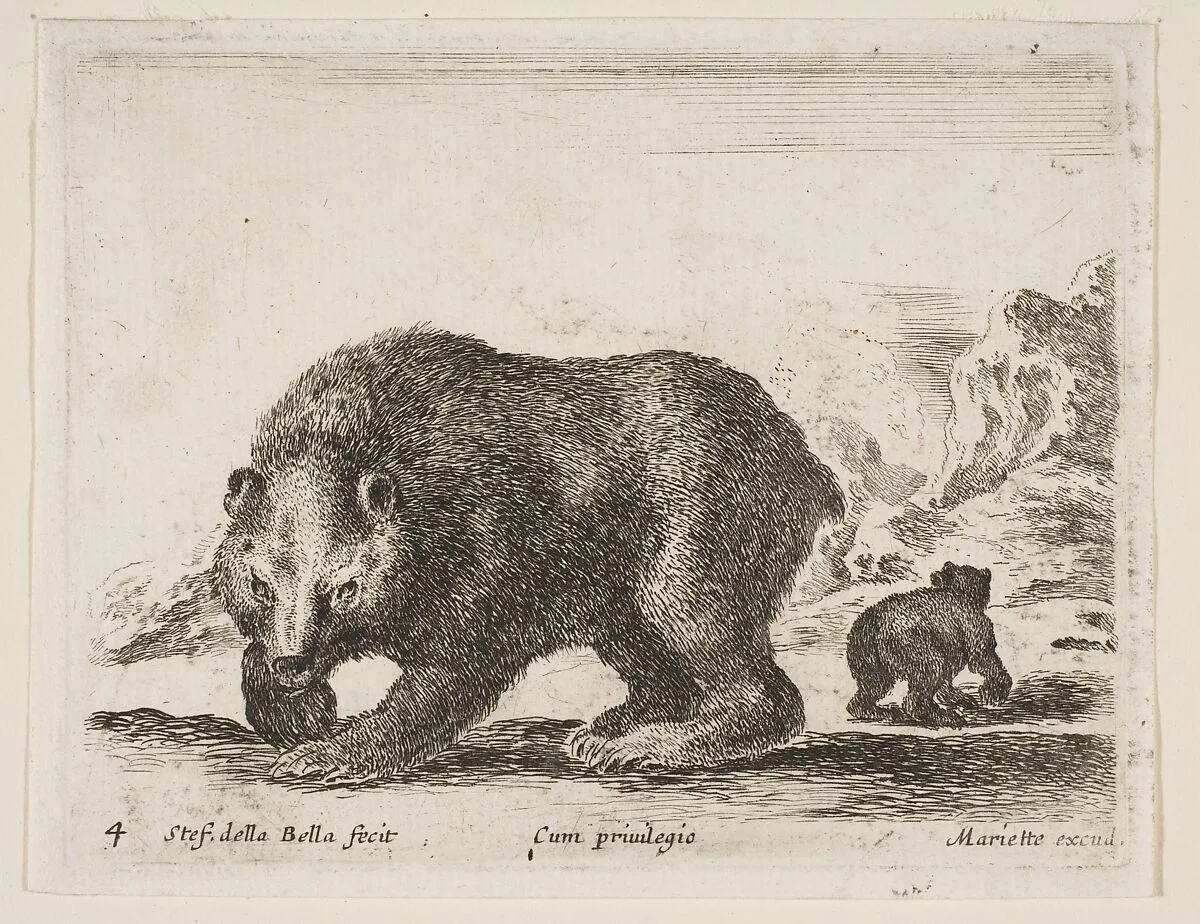 Bear, plate 4 from "Various Animals" (Diversi Animali) — Stefano della Bella|Pierre Mariette