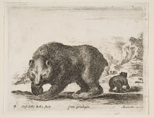 Bear, plate 4 from "Various Animals" (Diversi Animali)