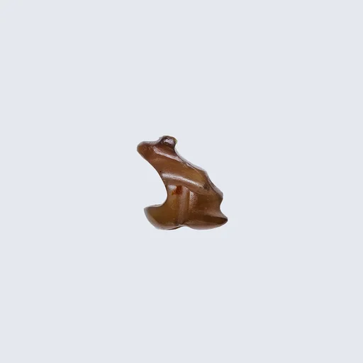 Frog Amulet