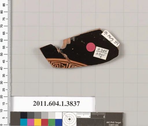 Terracotta fragment of a kylix (drinking cup)