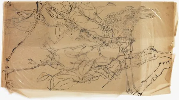 現代 謝稚柳 枝禽圖 鏡片|Bird on a Branch — Xie Zhiliu