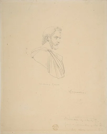 Classical Bust of a Bearded Male Seen in Profile