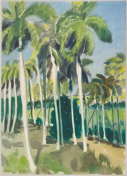 View of Ranch El Valle in Camaguey Cuba 1950 — Emilio Sanchez