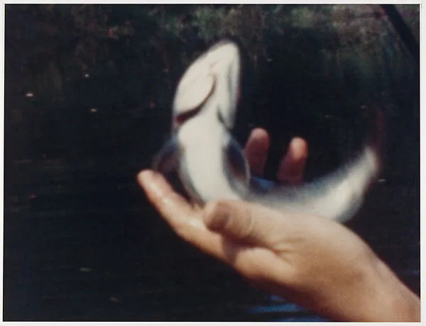 Untitled Film Still — Larry Sultan