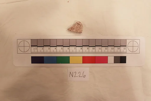 Stucco Fragment