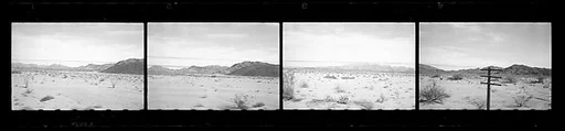 [117 Views of California Landscape from Train Window and 3 Portraits of Unidentified Woman in Restaurant]