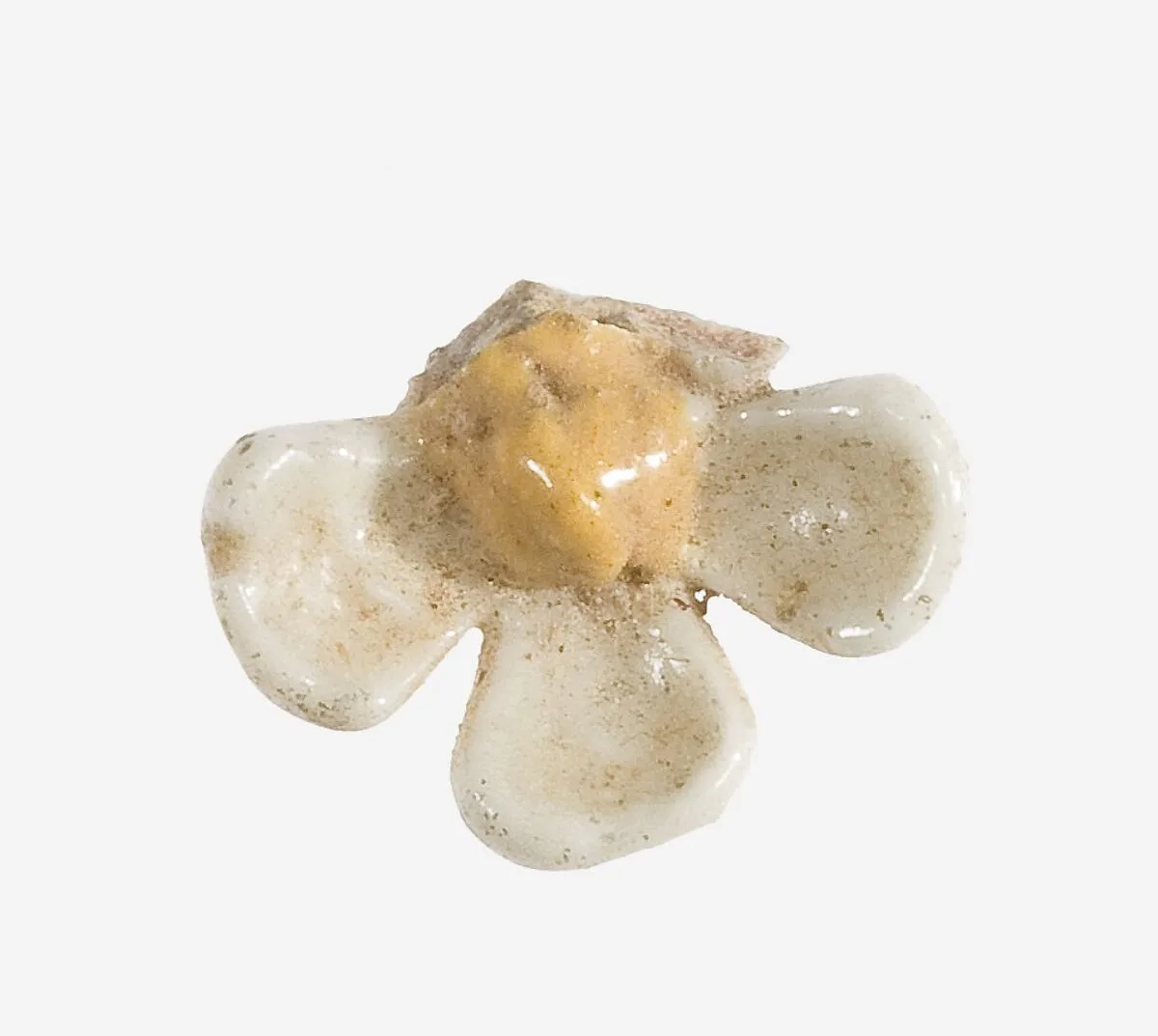 Daisy Pendant — Unknown
