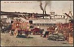 Levee Scene, St. Louis, U.S.A.