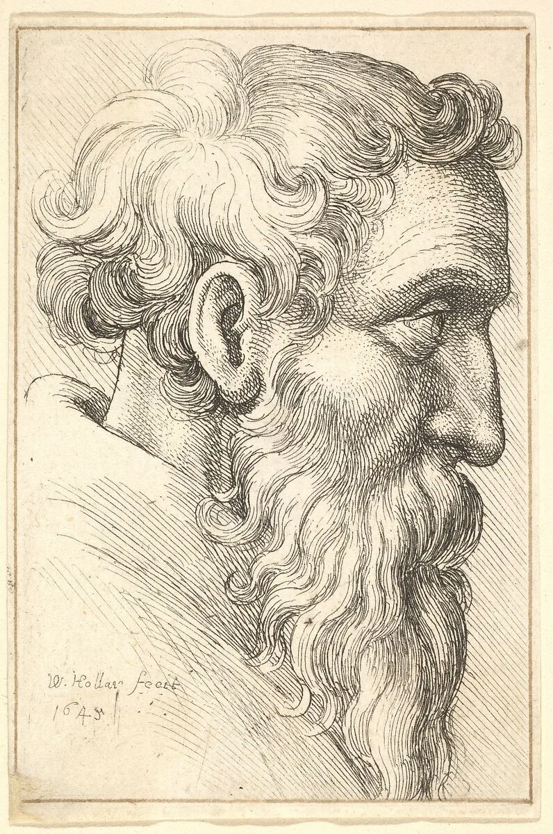 Bearded old man in profile to right — Wenceslaus Hollar