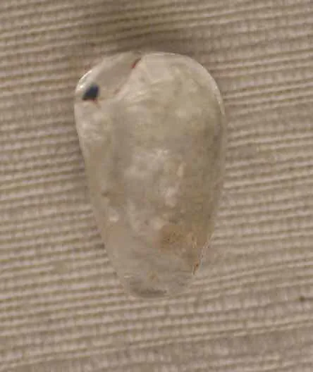 Seal or Bead — Unknown